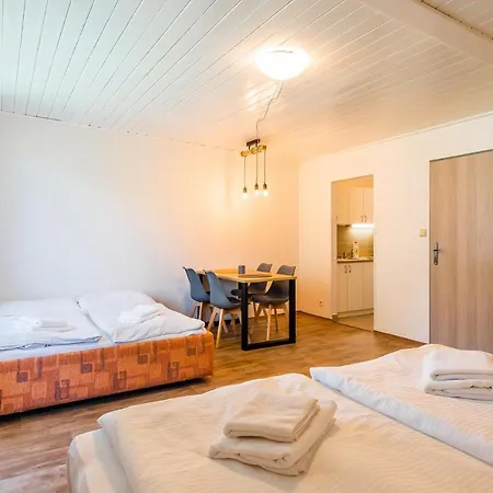 Hotel Hotel Ski 4*