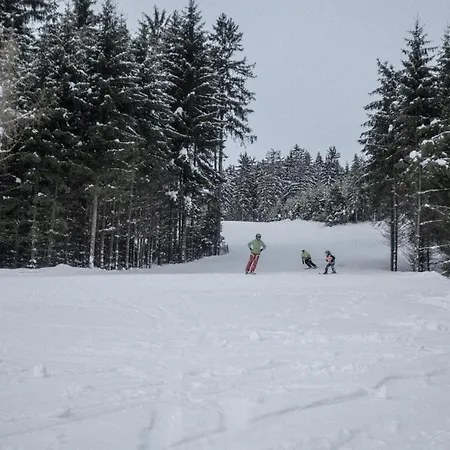 Hotel Hotel Ski Nove Mesto na Morave