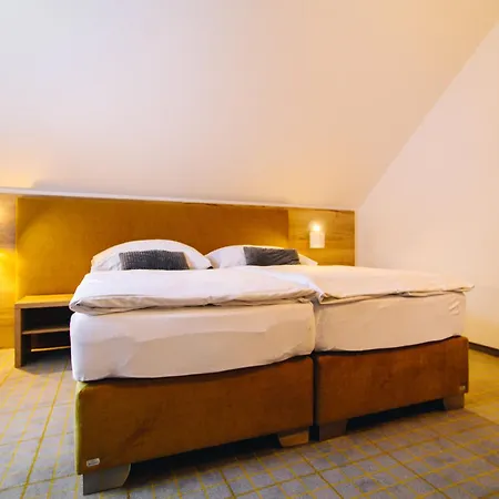 Hotel Ski Hotel
