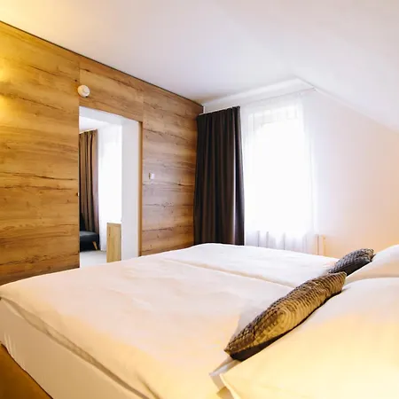 Hotel Ski Hotel 4*