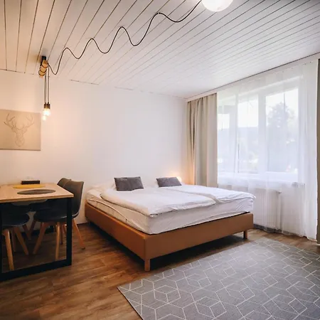 Hotel Ski 4* Nove Mesto na Morave