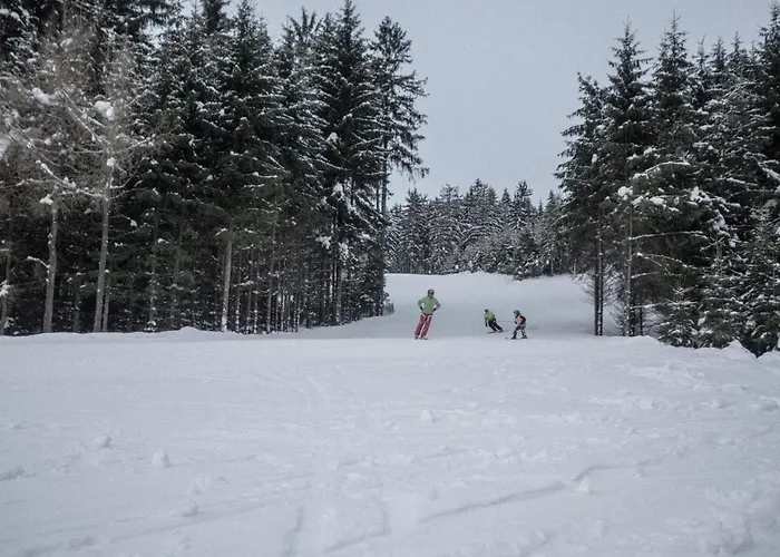 Hotel Hotel Ski Nove Mesto na Morave