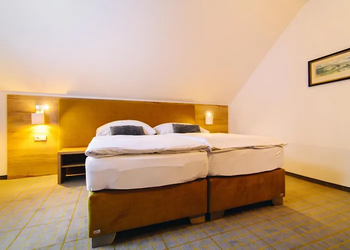 Hotel Ski Hotel