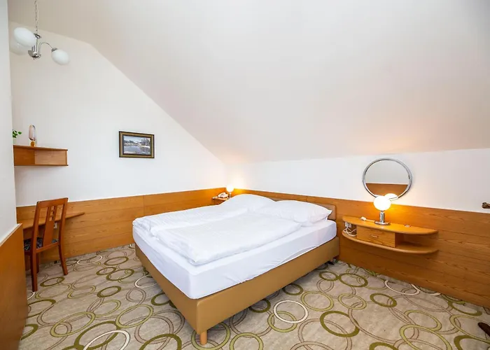Hotel Ski Hotel 4*