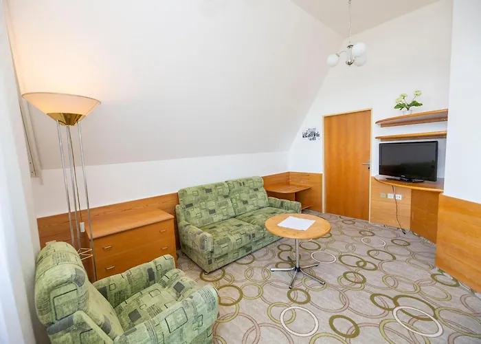 Hotel Ski Hotel Nove Mesto na Morave
