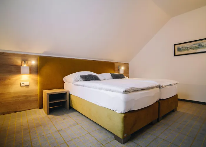 Hotel SKI Hotel Nove Mesto na Morave